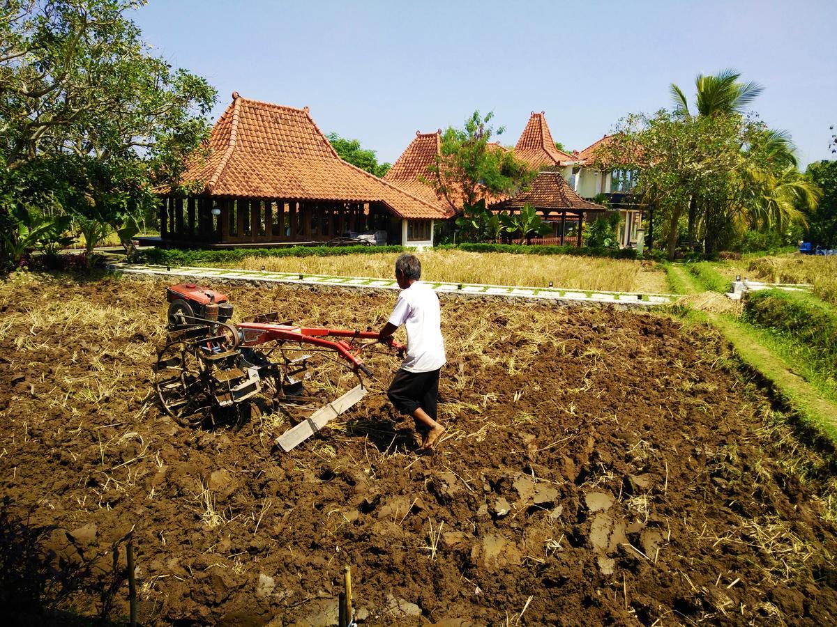 Java Village Resort By Homee Yogyakarta Sleman  Buitenkant foto